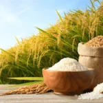 white-rice-paddy-on-wooden-600nw-2327023389